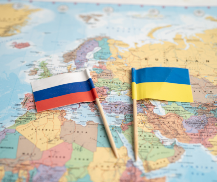 Wpływ sankcji na przedsiębiorstwa krajów je nakładających – przypadek konfliktu zbrojnego pomiędzy Rosja i Ukrainą (skr. RUSAN)